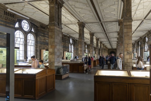 London, United Kingdom - 15 May 2025: Visitors exploring the long, ornate galleries and exhibits inside the Natural History Museum