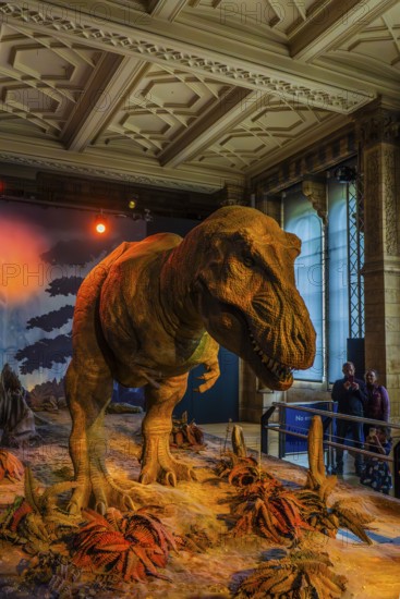 London, United Kingdom - 15 May 2025: Realistic dinosaur model in the Natural History Museum