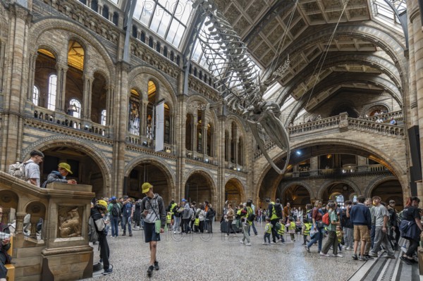 London, United Kingdom - 15 May 2025: The vast interior of the prestigious London Natural History Museum