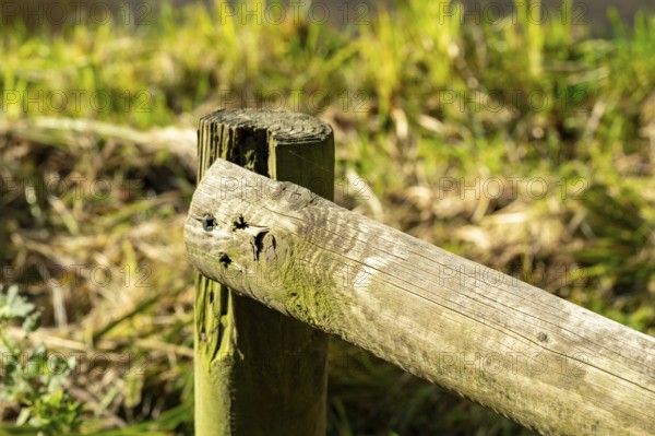 Raesfeld, NRW, Germany, Weathered wooden fence post with a fallen rail connecting, standing in a field of green grass