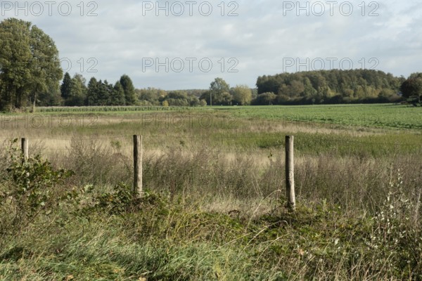 Borken, NRW, Germany, Rural view of green fields, dry grass, and trees under a cloudy sky