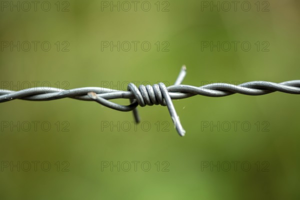 Borken, NRW, Germany, Barbed wire close up with sharp points creating a boundary on a blurred green background