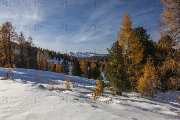 Autumn atmosphere, snow on alpine peaks, Dachstein, autumn leaves, view from Stoderzinken near Gröbming, Styria, Austria