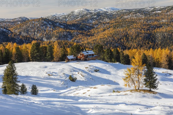 Autumn atmosphere, snow on mountain range, autumn leaves, view from Stoderzinken near Gröbming, Styria, Austria