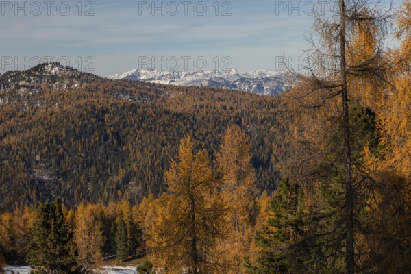 Autumn atmosphere, snow on mountain range, autumn leaves, view from Stoderzinken near Gröbming, Styria, Austria