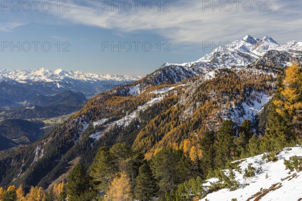 Autumn atmosphere, snow on mountain range, autumn leaves, view from Stoderzinken near Gröbming, in the Ennstal valley, Styria, Austria