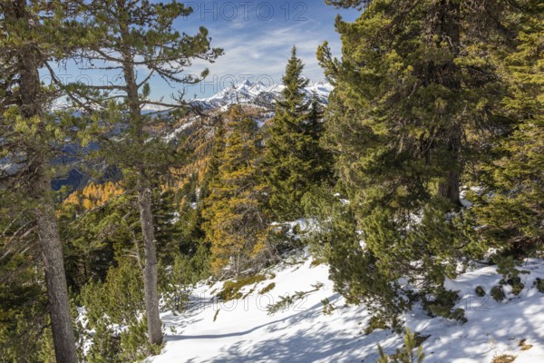 Autumn atmosphere, snow on mountain range, autumn leaves, view from Stoderzinken near Gröbming, Styria, Austria