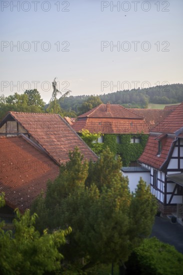 Rural countryside houses mingling with nature, ivy growing on walls, view of traditional Fachwerk house (timbered houses, half-timbered house, timber-franed house, studwork house, frame house) village Ershausen, Schimberg, Eichsfeld, Thuringia, Germany