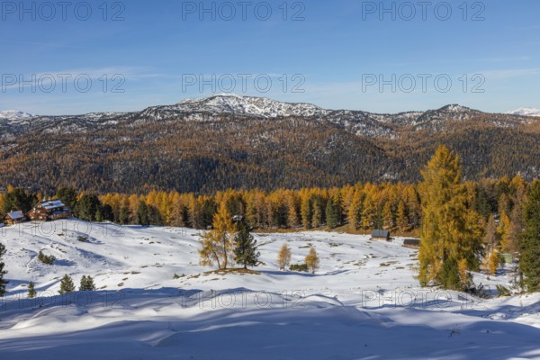 Autumn atmosphere, first snow on the mountains, autumn leaves, Stoderzinken near Gröbming, Styria, Austria