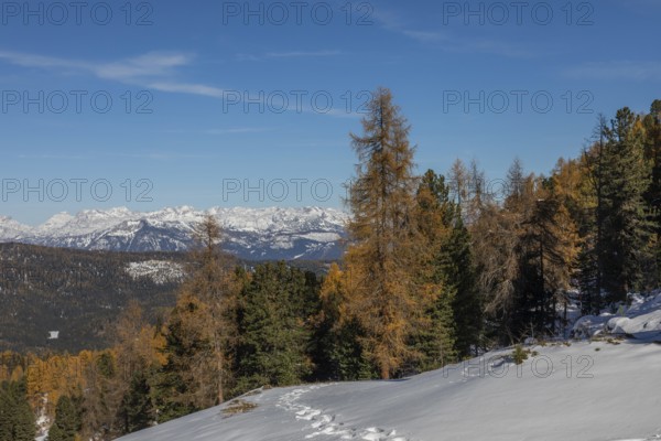 Autumn atmosphere, first snow on the mountains, autumn leaves, Stoderzinken near Gröbming, Styria, Austria