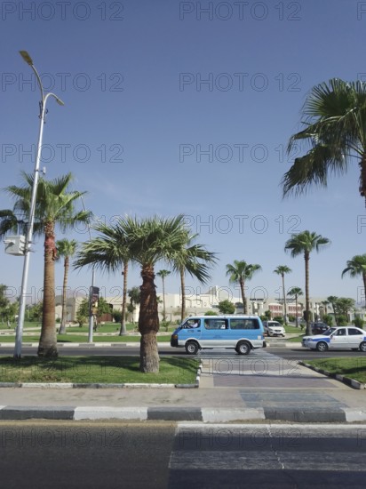 Lively city streets with lawns buried in the shade of date palms in tropics.The photo was taken in the Hadaba area on the way to the port during the summer holidays. South Sinai. Sharm el Sheikh, Egypt