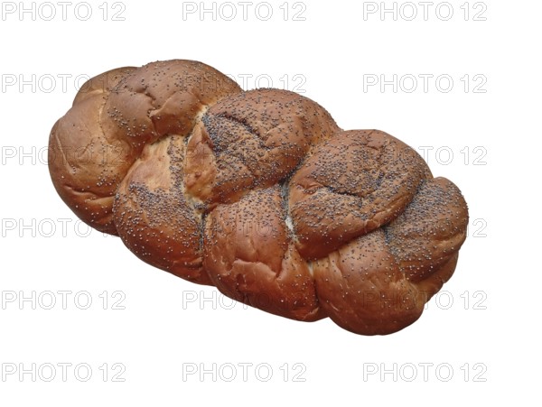Large bun with poppy seeds close-up on white background