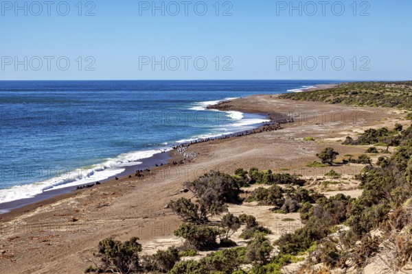 View of a wide coastline with sandy beach and clear lake, The countryside of Peninsula Valdes in Argentina
