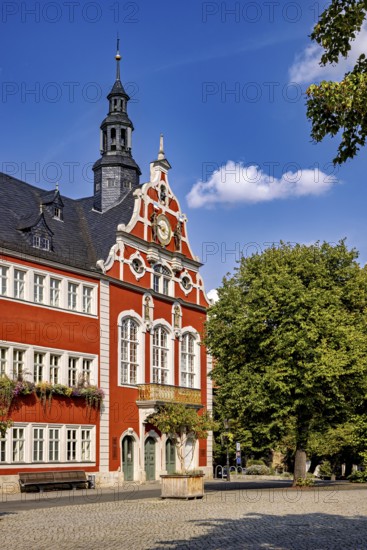 Baroque building with red façade and clock tower flanked by trees on a sunny day, The old town of Arnstadt in Thuringia