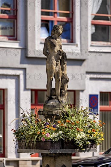 Stone figure on a fountain with surrounding flowers in front of a building, statue and monument in the old town of Arnstadt in Thuringia