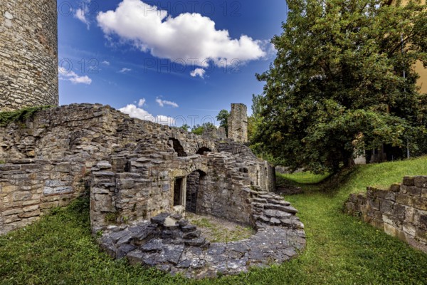 Ruins made of stone with a tree on a green field under a clear sky, The Niedeck Ruins in Arnstadt Thuringia