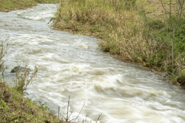 Borken-Hoxfeld, NRW, Germany, A river rushes through a landscape filled with tall grasses and sparse trees under an overcast sky. The water flows rapidly, creating ripples and a dynamic scene in nature