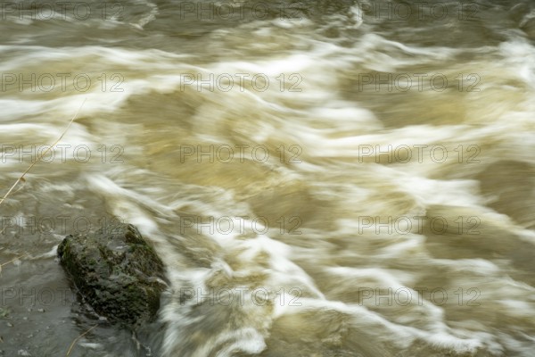Borken-Hoxfeld, NRW, Germany, Clear water flows gracefully over a moss-covered stone in a river. The natural scene captures a moment of tranquility, showcasing the beauty of the environment on a sunny day