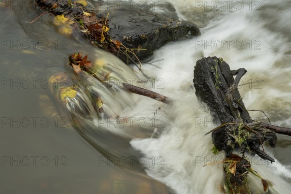 Borken-Hoxfeld, NRW, Germany, Rapid water cascades over stones, mixing with colorful fallen leaves. The scene captures the essence of autumn, showcasing nature's beauty and tranquility