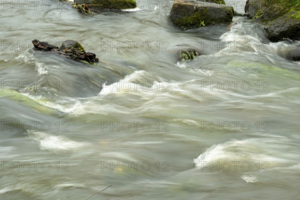 Borken-Hoxfeld, NRW, Germany, A river moves swiftly over stones, creating gentle ripples and currents in a natural setting. The scene is calm with a multitude of rocks partially submerged in water