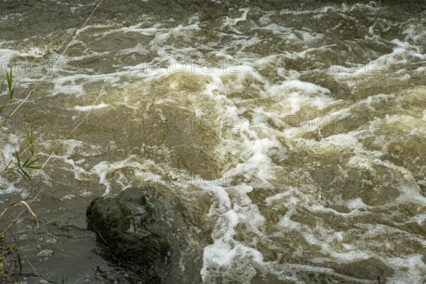 Borken-Hoxfeld, NRW, Germany, The scene features a fast-flowing river with clear water splashing over smooth rocks. Bubbles form as the water rushes past, surrounded by grassy edges. Light reflects off the surface