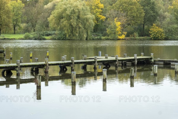 Borken-Hoxfeld, NRW, Germany, A wooden dock stretches out over still water, surrounded by trees displaying vibrant autumn foliage. The scene captures tranquility and natural beauty in a serene park