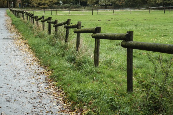 Borken-Hoxfeld, NRW, Germany, A wooden fence lines a quiet path through a green field, surrounded by tall grass and fallen leaves. It is a calm autumn day in the countryside, showcasing nature's beauty