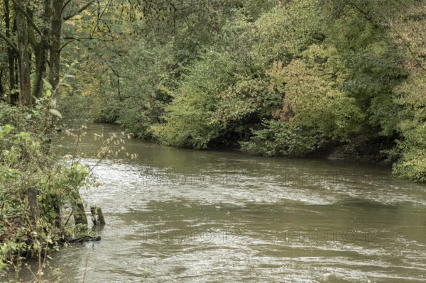 Borken-Hoxfeld, NRW, Germany, A peaceful river winds through a vibrant forest filled with green and yellow trees. The calm water reflects the changing leaves, creating a soothing natural scene
