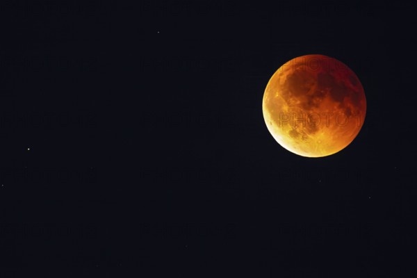 Observing a full moon during a total lunar eclipse, Erfurt, Thuringia, Germany