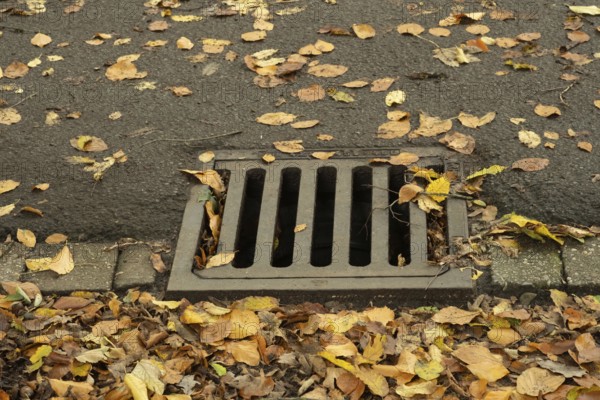 Borken-Hoxfeld, NRW, Germany, Fallen leaves cover the pavement around a storm drain on a calm street. The colors of autumn enhance the scene, creating a peaceful atmosphere in a suburban neighborhood