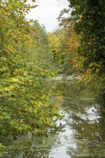 Borken-Hoxfeld, NRW, Germany, Vibrant leaves in shades of yellow and green surround a calm waterway, creating a serene atmosphere in a natural park during autumn. The trees reflect on the still surface