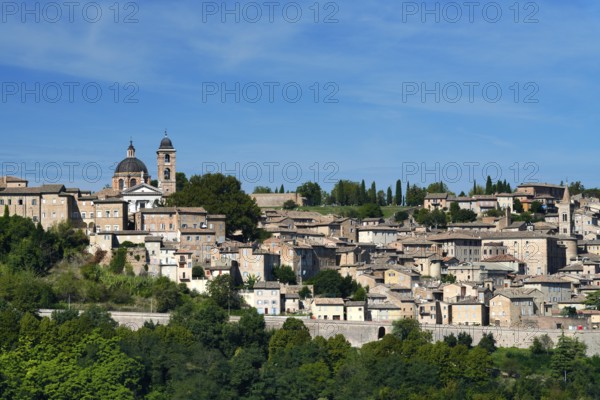 View of the city, Urbino, Pesaro and Urbino province, Marche, Italy