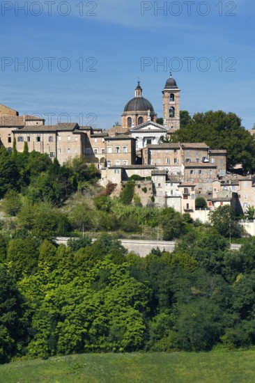 View of the city, Urbino, Pesaro and Urbino province, Marche, Italy
