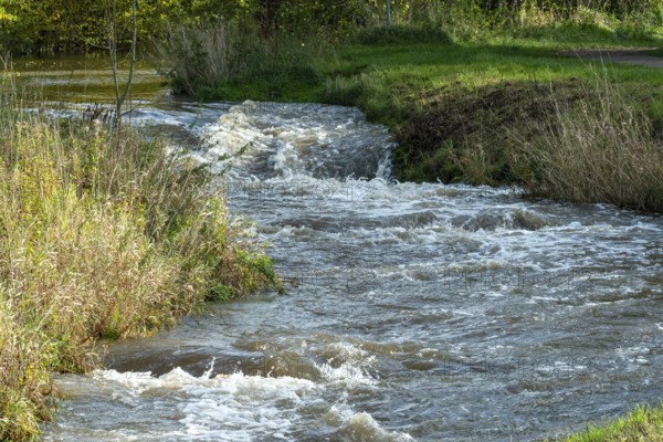 Water flowing rapidly over rocks in a natural stream surrounded by green grass and plants, Borken, nrw, germany
