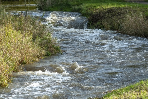 River water flowing rapidly through a natural landscape with green and brown grass, Borken, nrw, germany
