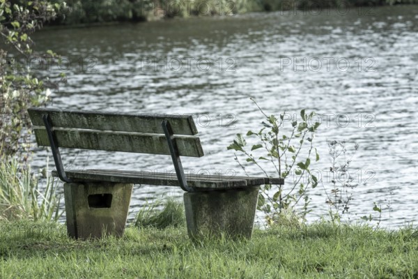 Wooden bench sitting by grassy lake shore offering quiet solitude and relaxation, Borken, nrw, germany