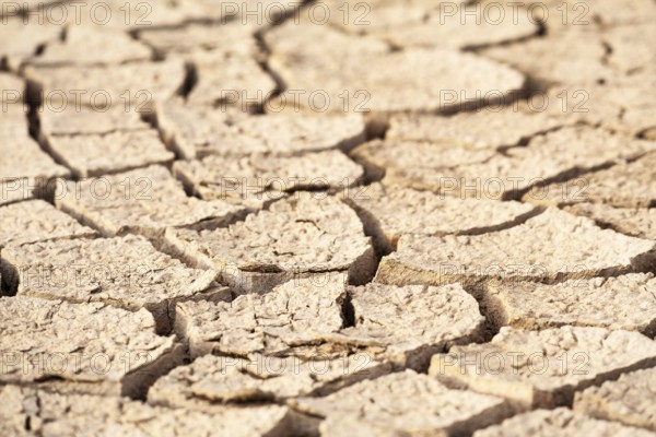 Close-up view of cracked dry soil showing texture and signs of drought, Djoudj, Senegal