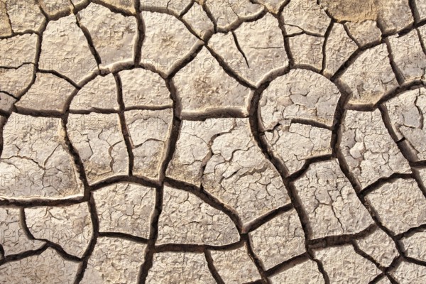 Cracked dry mud, Djoudj, Senegal