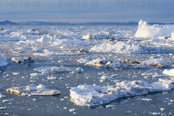Iceberg fragments floating in calm icy waters against a backdrop of distant mountains in a cold, expansive setting, Ilulissat Icefjord, Greenland