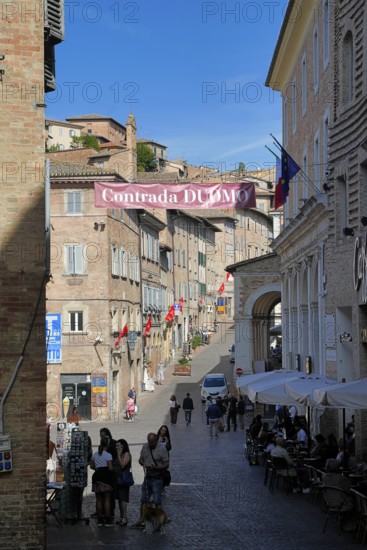 Urbino, province of Pesaro and Urbino, Marche, Italy