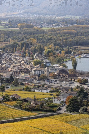 View of Villeneuve and lakeside, Lac Léman, Vaud, Switzerland