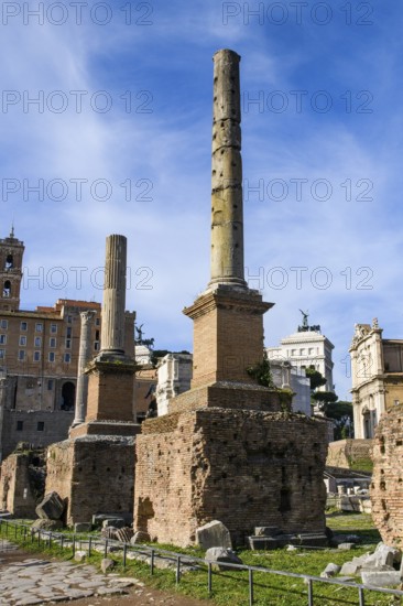 Two honorary columns reconstructed at the Roman Forum in 1899, a fluted from Pavonazetto and an unchanneled of gray granite, Roman Forum, Rome, Lazio, Italy