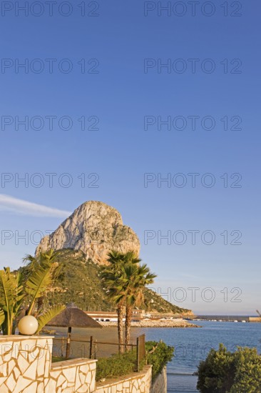 Palm trees, Penon de Ifach rock in the background, landmark, natural park, Mediterranean Sea, Calpe, Valencia, Costa Blanca, Spain