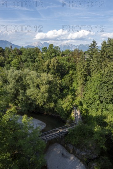 View over the thick treetops and the Kokra River with the Alps in the background, Kranj, Slovenia