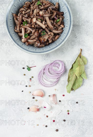 Pickled honey mushrooms, in a bowl, homemade, top view, no people
