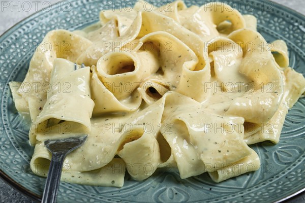 Pasta papardelle in creamy garlic sauce, traditional Italian cuisine, pasta carbonara, homemade, no people