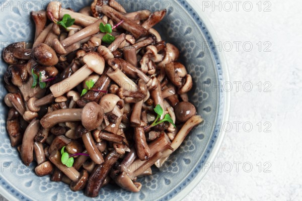 Pickled honey mushrooms, in a bowl, homemade, top view, no people