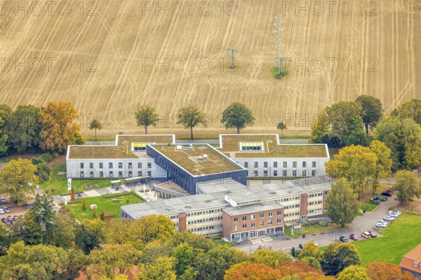 Aerial view, LVR-Klinik Bedburg-Hau, LVR-Klinik Bedburg-Hau Department of Adult Psychiatry, Field and Tree Allee, Autumn Trees, Hau, Bedburg-Hau, Lower Rhine, North Rhine-Westphalia, Germany