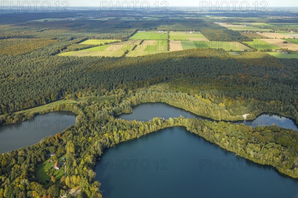 Aerial view, kidney salt arms and mill ponds LSG landscape protection area, forest area and lake, autumn forest, Kessel, Goch, Lower Rhine, North Rhine-Westphalia, Germany, trees in autumn colors, DE, Europe, autumn, autumn colors, autumn forest colors, aerial view, aerial photography, overview, bird's eye view, forest in autumn colors, meadows and fields, birds-eyes view, autumn trees, autumnal forest, overview