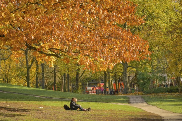 Autumn in Volkspark Wilmersdorf, Berlin, Germany
